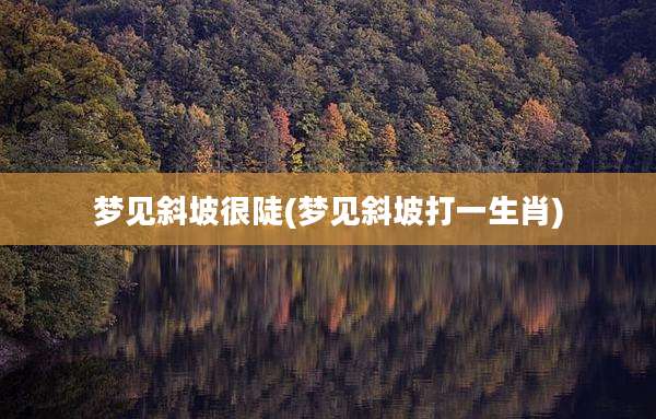 梦见斜坡很陡(梦见斜坡打一生肖)