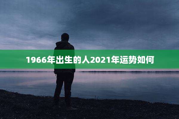 1966年出生的人2021年运势如何
