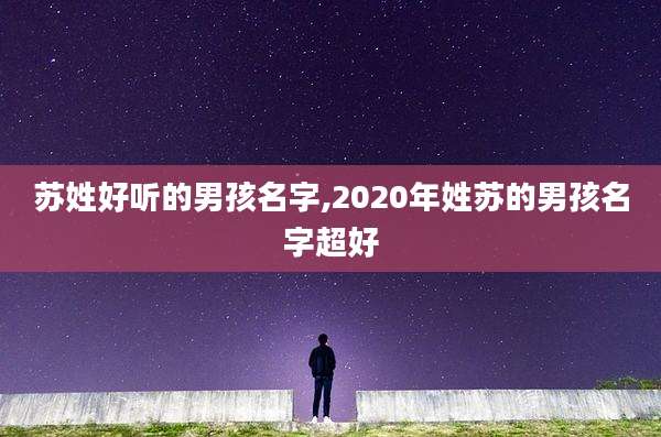 苏姓好听的男孩名字,2020年姓苏的男孩名字超好