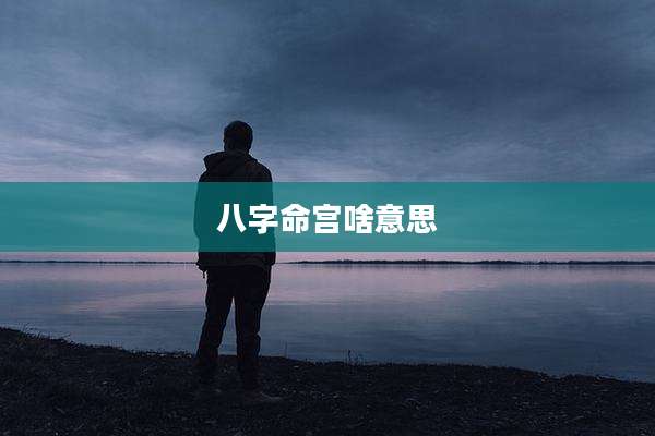 八字命宫啥意思