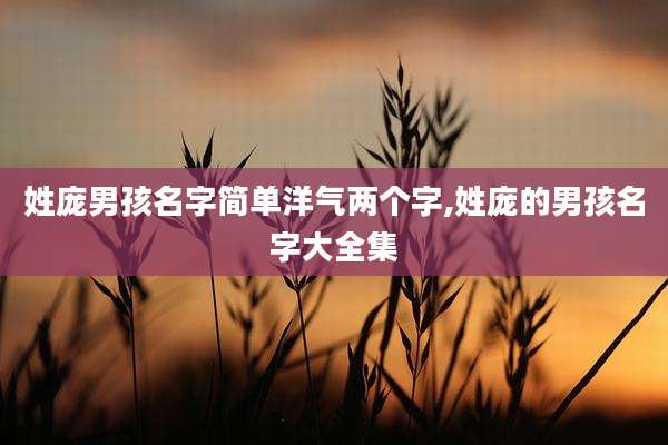 姓庞男孩名字简单洋气两个字,姓庞的男孩名字大全集