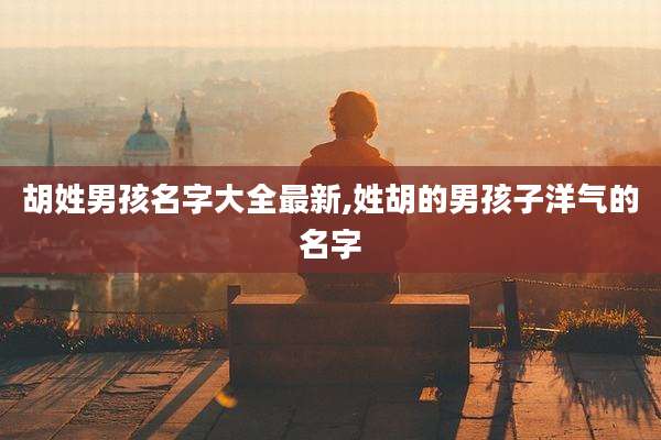 胡姓男孩名字大全最新,姓胡的男孩子洋气的名字