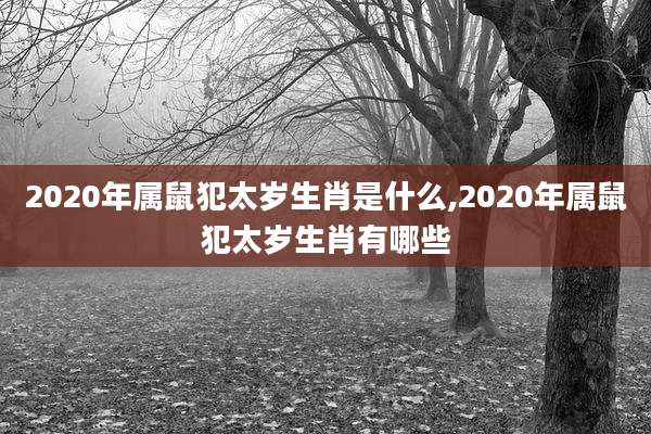2020年属鼠犯太岁生肖是什么,2020年属鼠犯太岁生肖有哪些