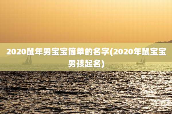2020鼠年男宝宝简单的名字(2020年鼠宝宝男孩起名)