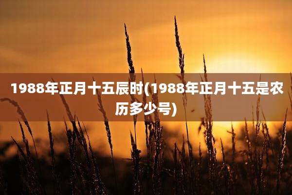 1988年正月十五辰时(1988年正月十五是农历多少号)