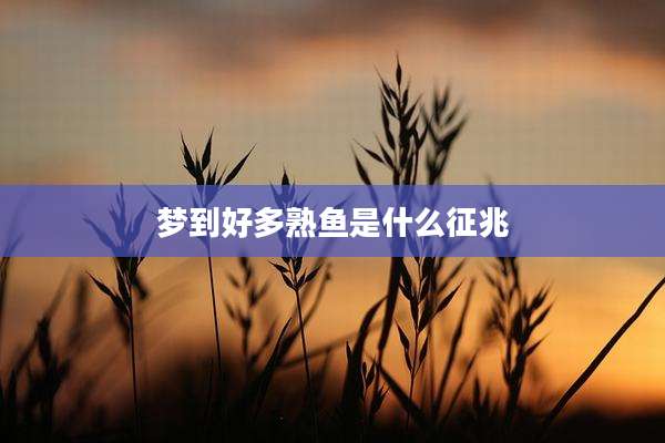 梦到好多熟鱼是什么征兆