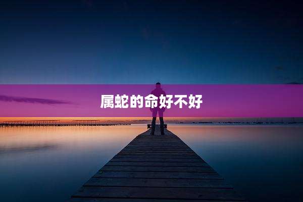 属蛇的命好不好