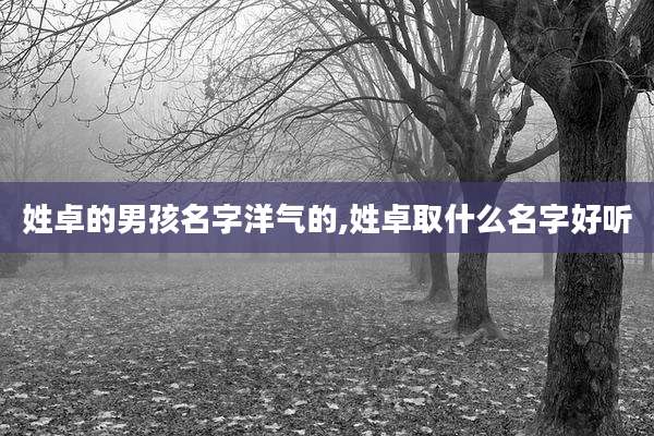 姓卓的男孩名字洋气的,姓卓取什么名字好听