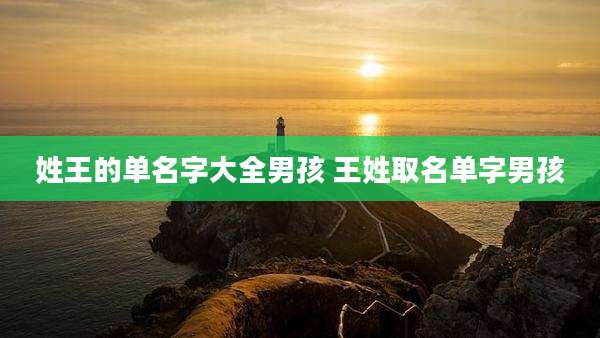 姓王的单名字大全男孩 王姓取名单字男孩