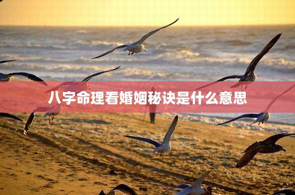 八字命理看婚姻秘诀是什么意思