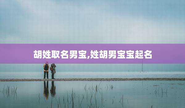 胡姓取名男宝,姓胡男宝宝起名