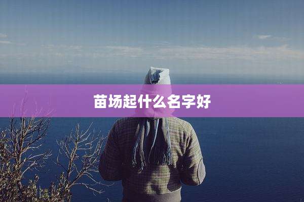 苗场起什么名字好