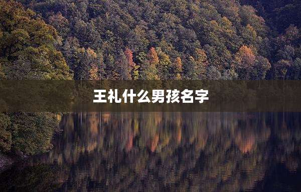 王礼什么男孩名字