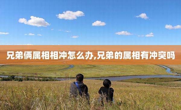 兄弟俩属相相冲怎么办,兄弟的属相有冲突吗