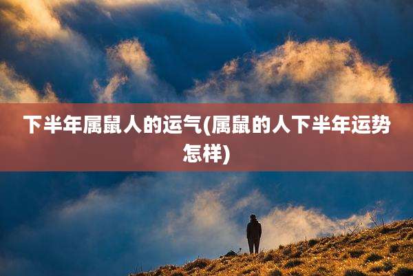 下半年属鼠人的运气(属鼠的人下半年运势怎样)
