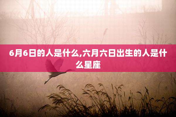 6月6日的人是什么,六月六日出生的人是什么星座