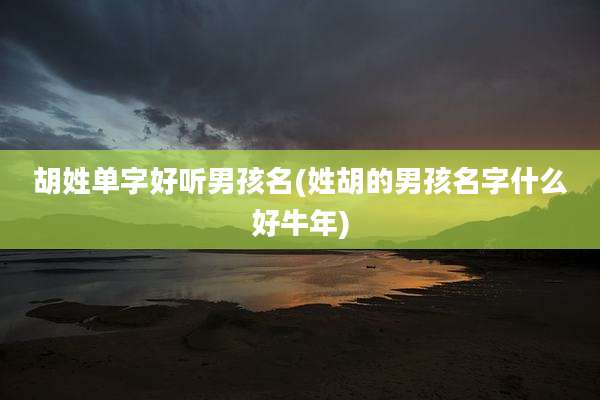 胡姓单字好听男孩名(姓胡的男孩名字什么好牛年)
