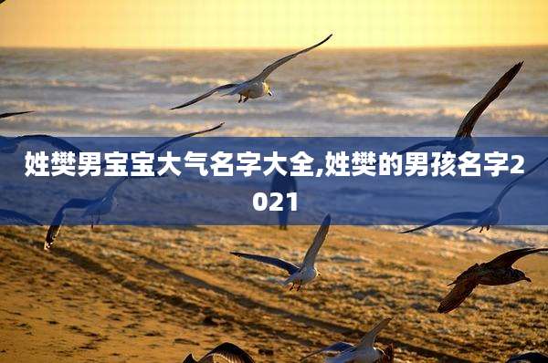 姓樊男宝宝大气名字大全,姓樊的男孩名字2021