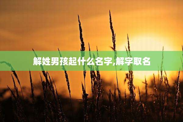 解姓男孩起什么名字,解字取名
