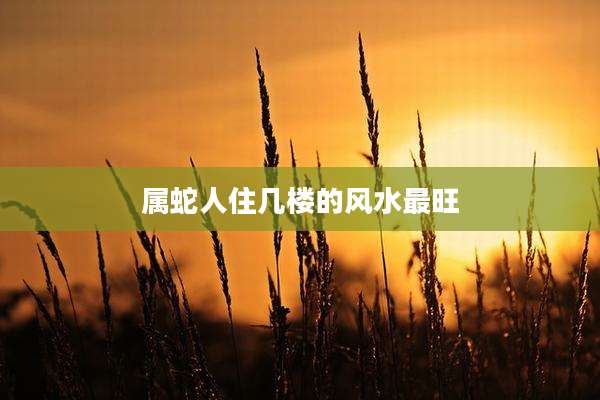 属蛇人住几楼的风水最旺