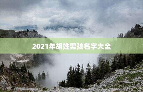 2021年胡姓男孩名字大全