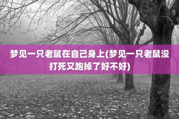 梦见一只老鼠在自己身上(梦见一只老鼠没打死又跑掉了好不好)