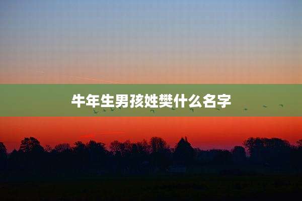 牛年生男孩姓樊什么名字