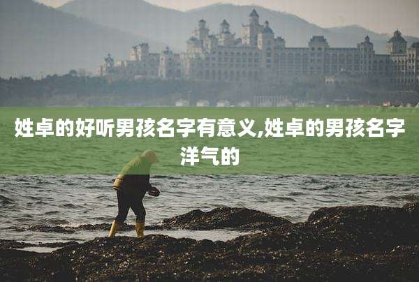姓卓的好听男孩名字有意义,姓卓的男孩名字洋气的
