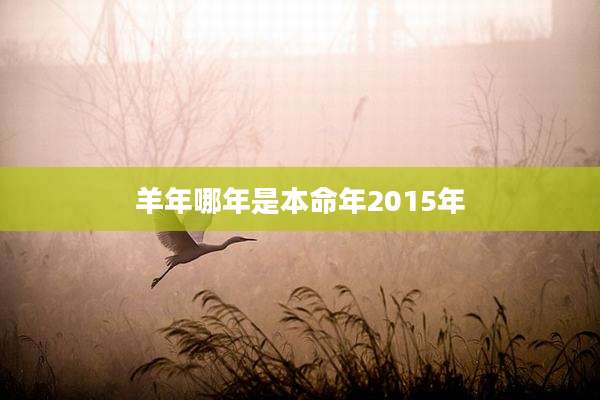 羊年哪年是本命年2015年