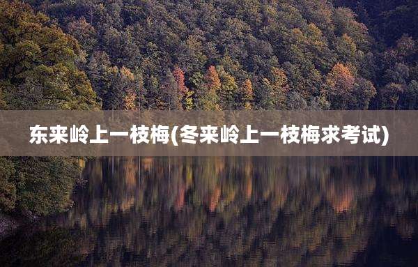 东来岭上一枝梅(冬来岭上一枝梅求考试)