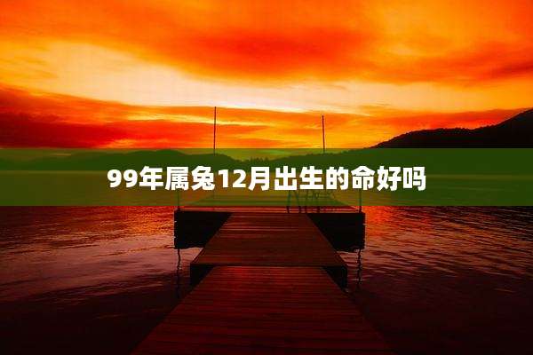 99年属兔12月出生的命好吗
