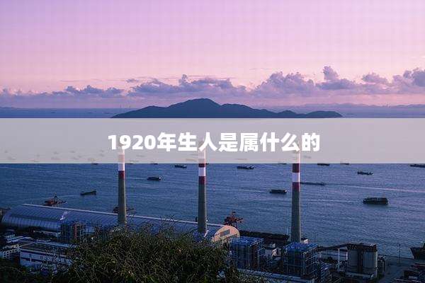 1920年生人是属什么的