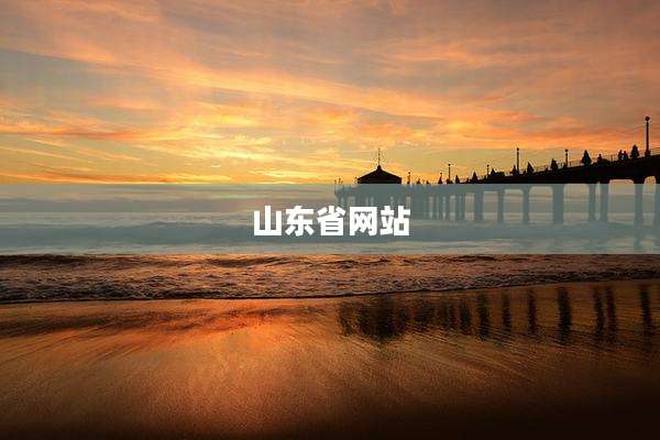 山东省网站