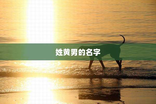 姓黄男的名字