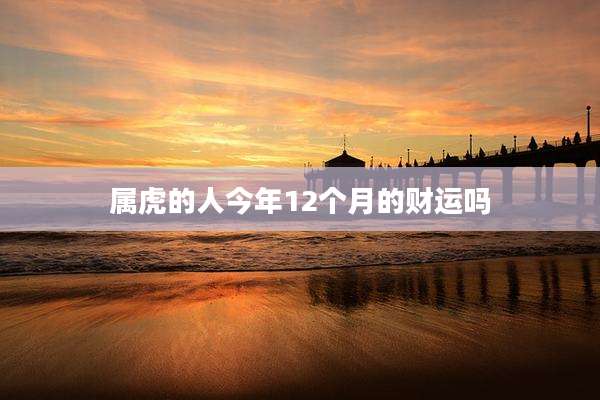 属虎的人今年12个月的财运吗