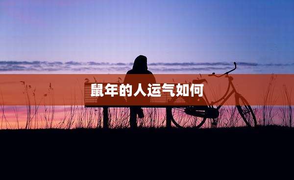 鼠年的人运气如何