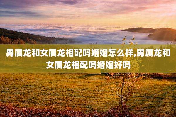 男属龙和女属龙相配吗婚姻怎么样,男属龙和女属龙相配吗婚姻好吗
