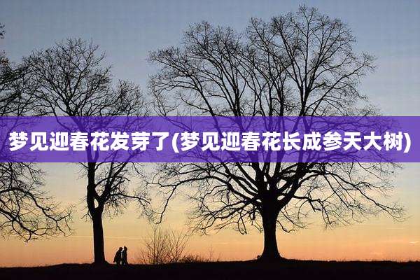 梦见迎春花发芽了(梦见迎春花长成参天大树)