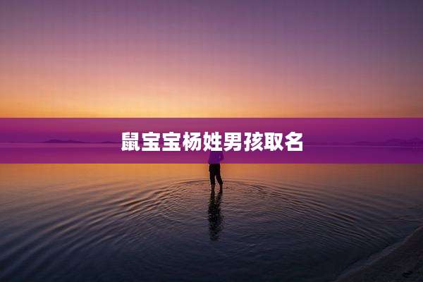 鼠宝宝杨姓男孩取名