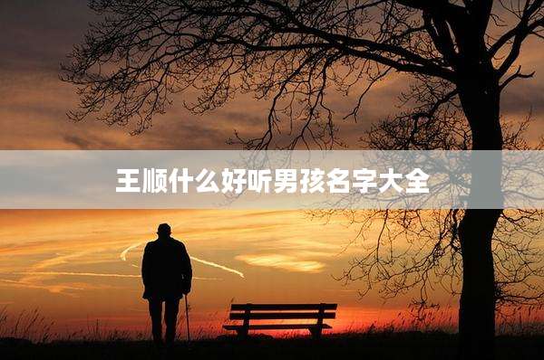 王顺什么好听男孩名字大全