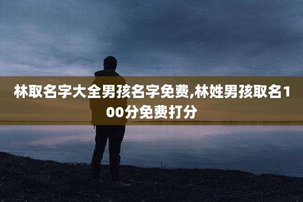 林取名字大全男孩名字免费,林姓男孩取名100分免费打分