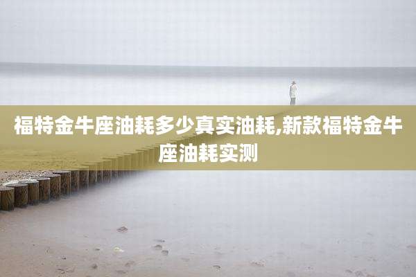 福特金牛座油耗多少真实油耗,新款福特金牛座油耗实测
