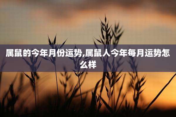 属鼠的今年月份运势,属鼠人今年每月运势怎么样