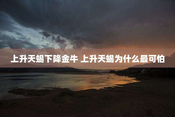 上升天蝎下降金牛 上升天蝎为什么最可怕