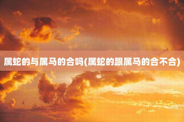 属蛇的与属马的合吗(属蛇的跟属马的合不合)