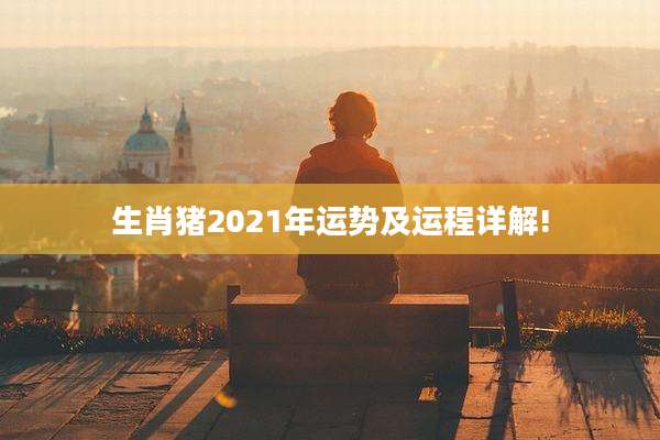 生肖猪2021年运势及运程详解!