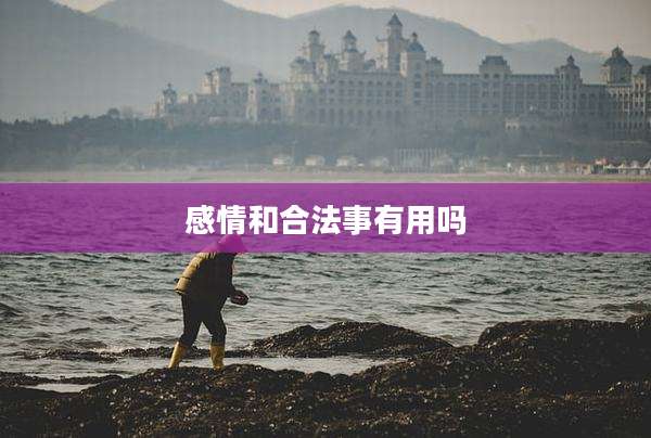 感情和合法事有用吗