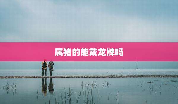 属猪的能戴龙牌吗