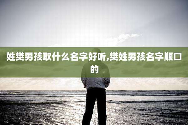姓樊男孩取什么名字好听,樊姓男孩名字顺口的