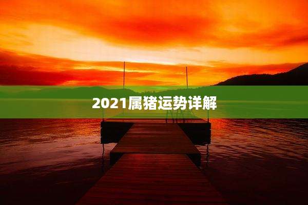 2021属猪运势详解